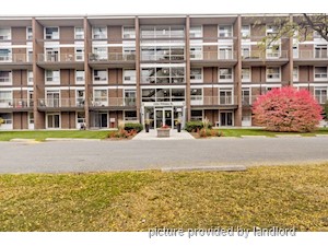 1 Bedroom apartment for rent in Kingston