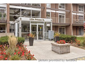1 Bedroom apartment for rent in Kingston
