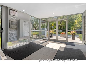 1 Bedroom apartment for rent in Kingston
