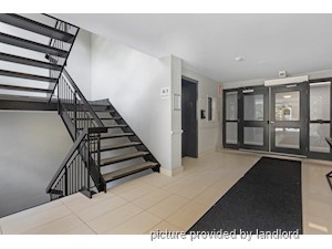 1 Bedroom apartment for rent in Kingston
