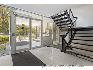 1 Bedroom apartment for rent in Kingston