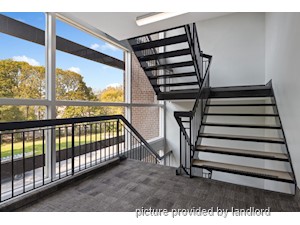 1 Bedroom apartment for rent in Kingston