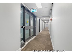 1 Bedroom apartment for rent in Kingston