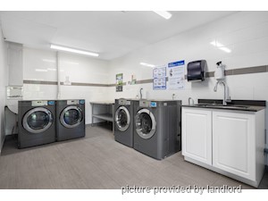 1 Bedroom apartment for rent in Kingston