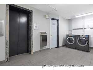 1 Bedroom apartment for rent in Kingston