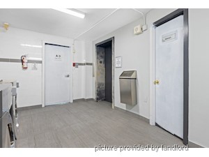 1 Bedroom apartment for rent in Kingston