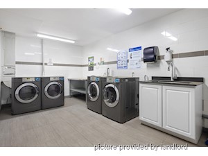 1 Bedroom apartment for rent in Kingston