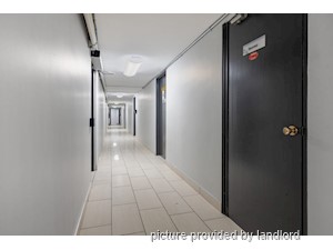 1 Bedroom apartment for rent in Kingston