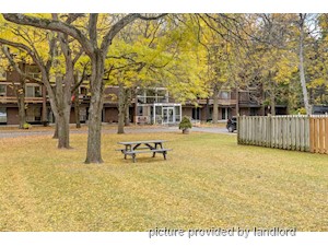 1 Bedroom apartment for rent in Kingston