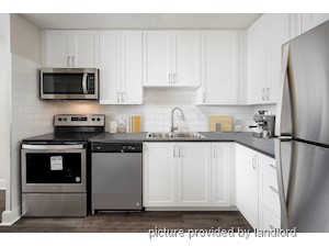 1 Bedroom apartment for rent in Kingston