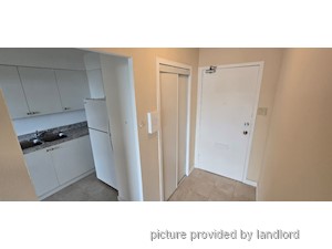 Image ViT 247460