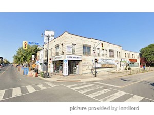 Image ViT 247464