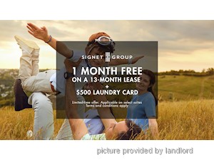 Image ViT 247474
