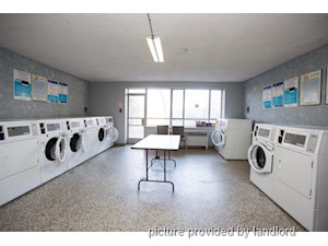3+ Bedroom apartment for rent in Scarborough