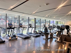 1 Bedroom apartment for rent in TORONTO