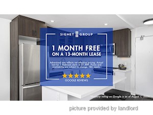 Image ViT 247509