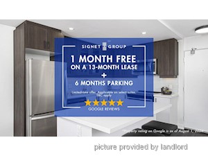 Image ViT 247523