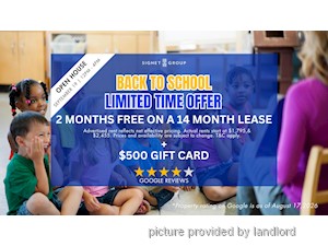 Image ViT 247526