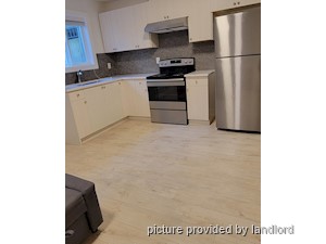 Image ViT 247558