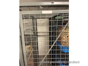 Bachelor apartment for rent in TORONTO