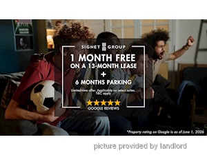 Image ViT 247590