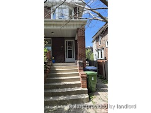 Image ViT 247638