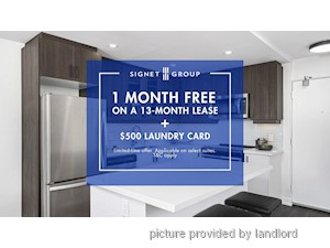 Image ViT 247642