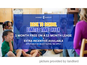 Image ViT 247672