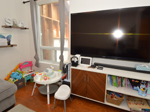 1 Bedroom apartment for rent in TORONTO