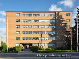 Image ViT 24776