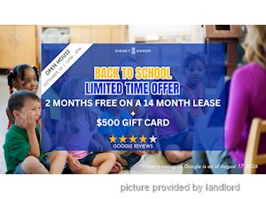 Image ViT 247765