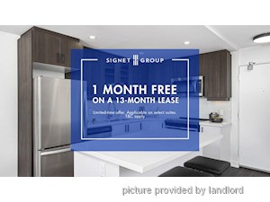 Image ViT 247775