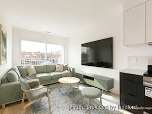 Image ViT 247801