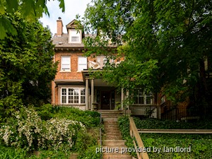 Image ViT 247815