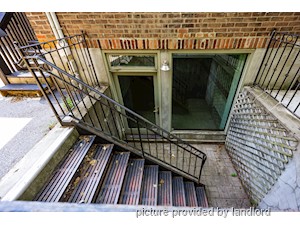 Image ViT 247817