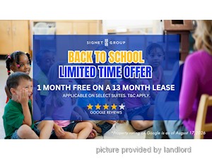 Image ViT 247835