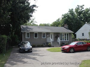 Image ViT 247840