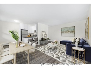 1 Bedroom apartment for rent in Waterloo