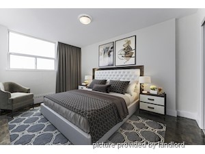 1 Bedroom apartment for rent in Scarborough