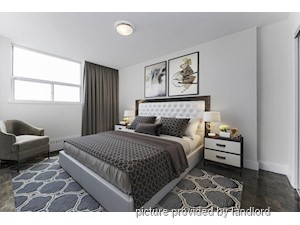 1 Bedroom apartment for rent in Stratford