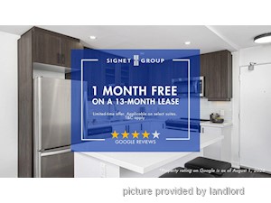 Image ViT 247873
