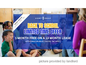 Image ViT 247879
