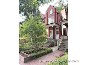 Image ViT 247917