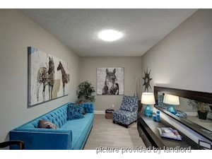 1 Bedroom apartment for rent in Barrie
