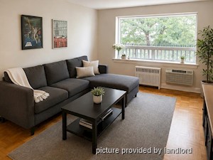 Image ViT 247939