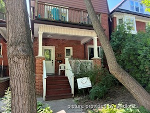 Image ViT 247946