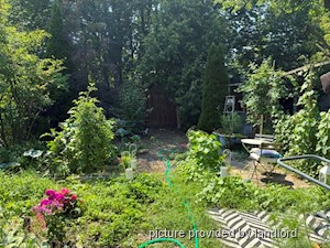 1 Bedroom apartment for rent in TORONTO