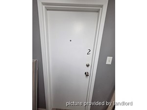 Image ViT 247988