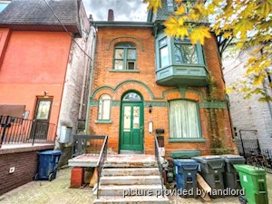 Image ViT 248017