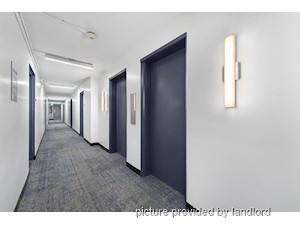 Bachelor apartment for rent in Brampton